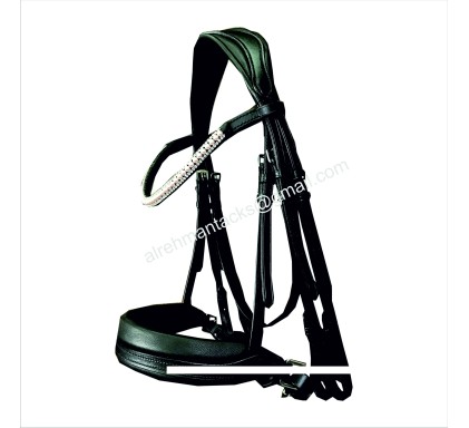 Leather Bridle 